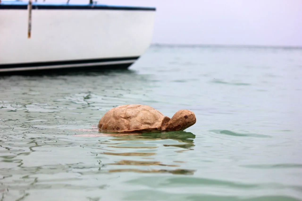 Biodegradable Turtle Urn